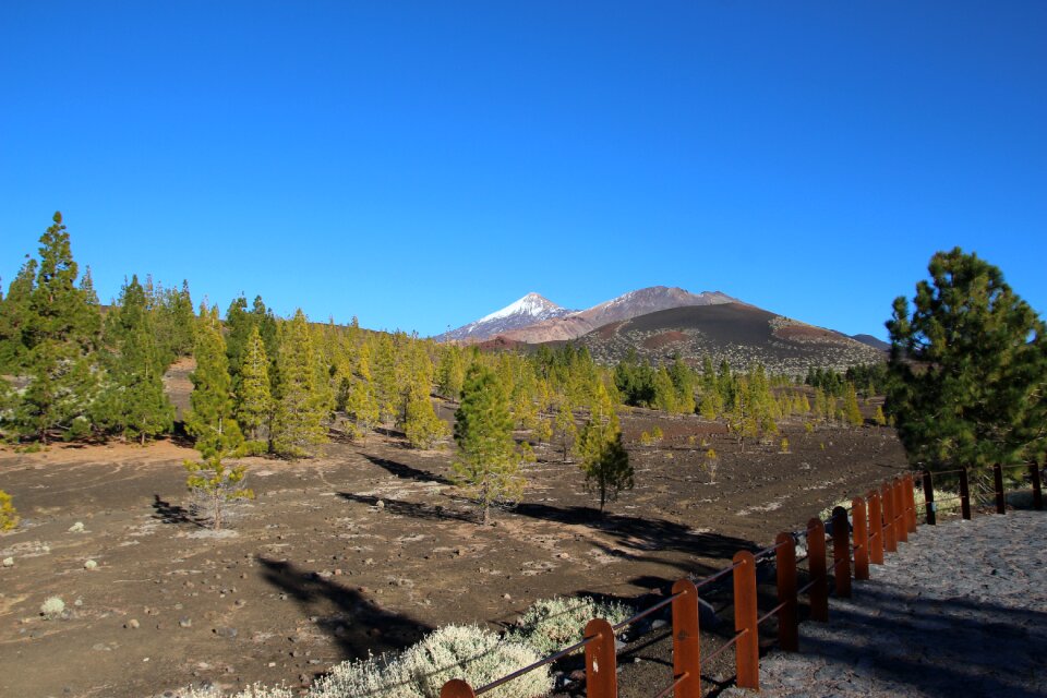 Canary islands nature teide national park