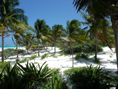 Caribbean exotic vacations