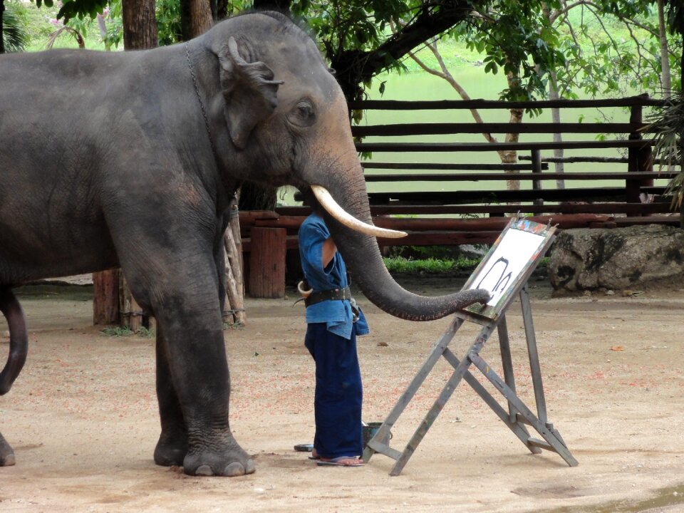 Paint thailand lampang