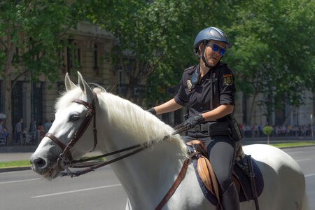 Equine horse riding train photo