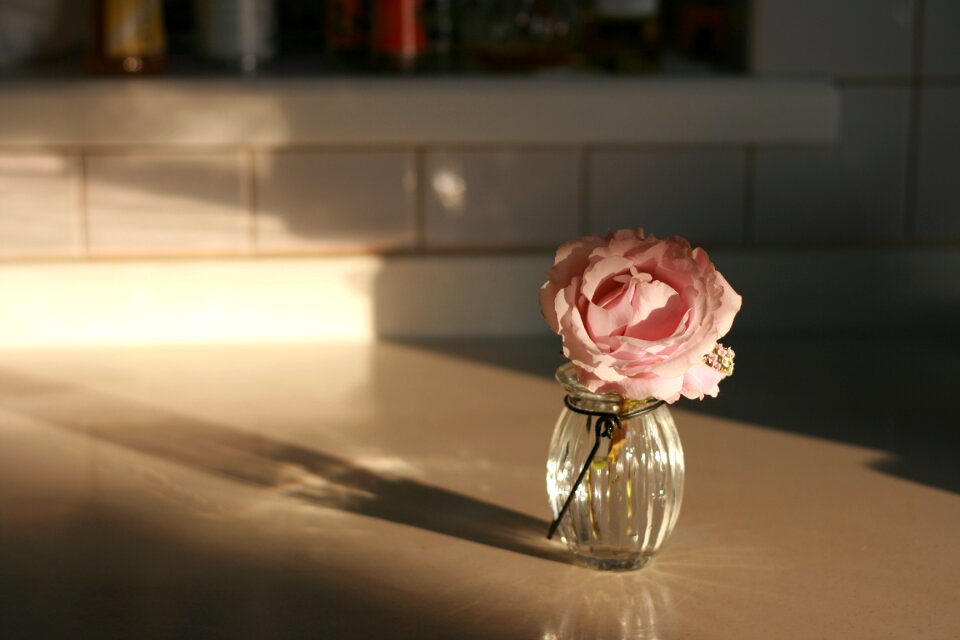 Roses flowers vase