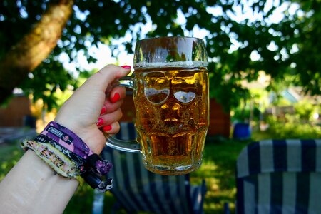 Beer mugs halberstadt drink photo