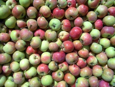 Apples wallpaper a pile of