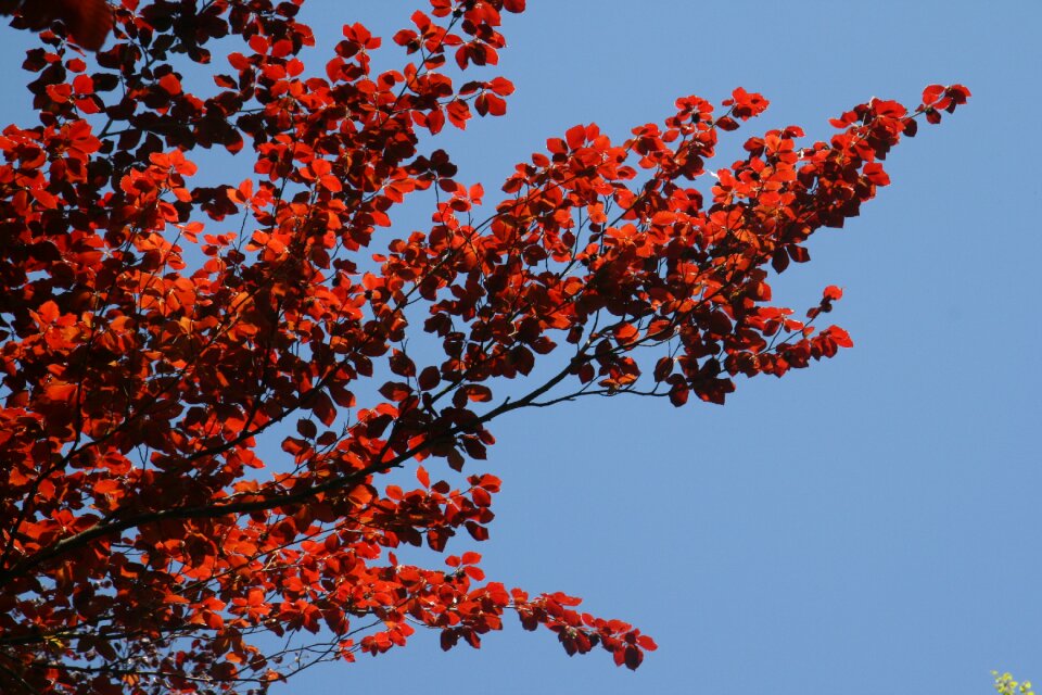 Nature spring air