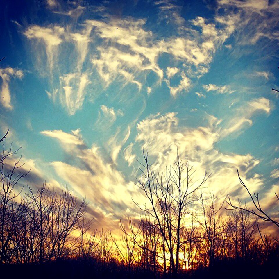 Sunlight outdoor evening