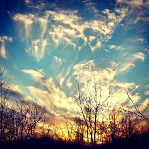 Sunlight outdoor evening photo