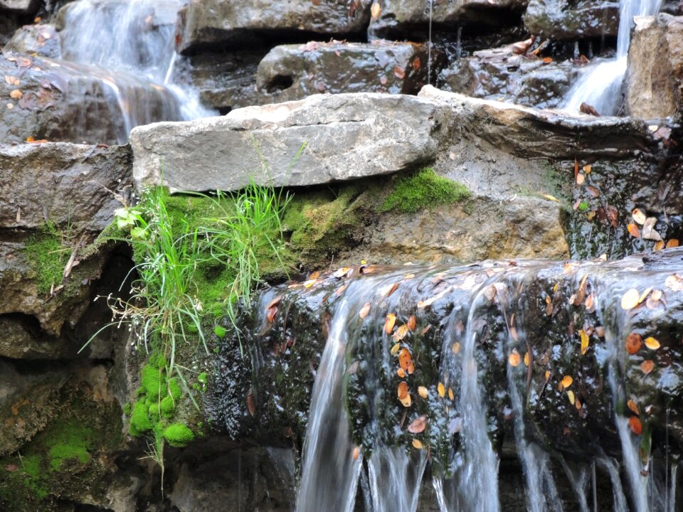 Landscape natural forest