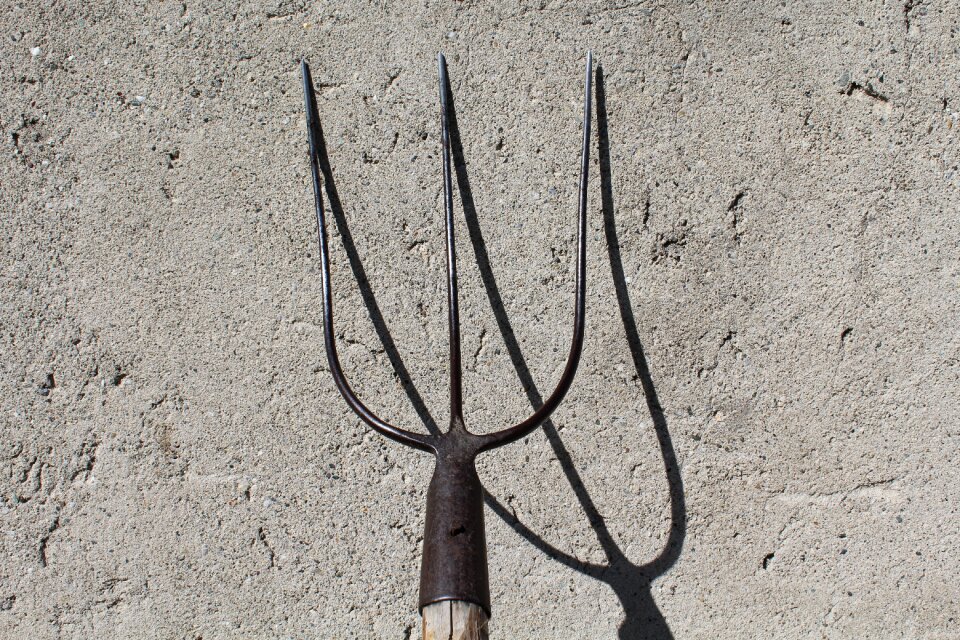 Agriculture tips trident