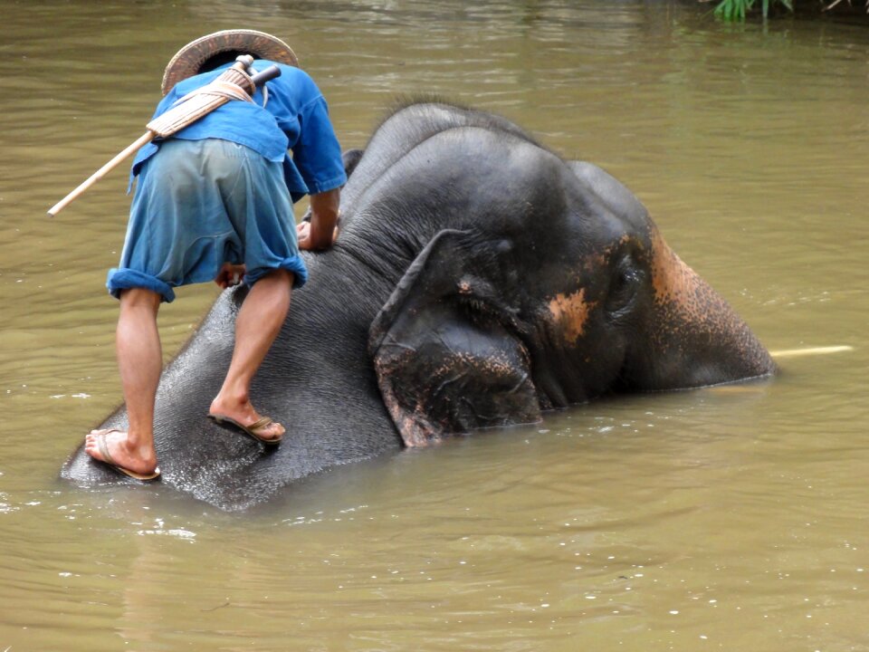 Bad thailand lampang