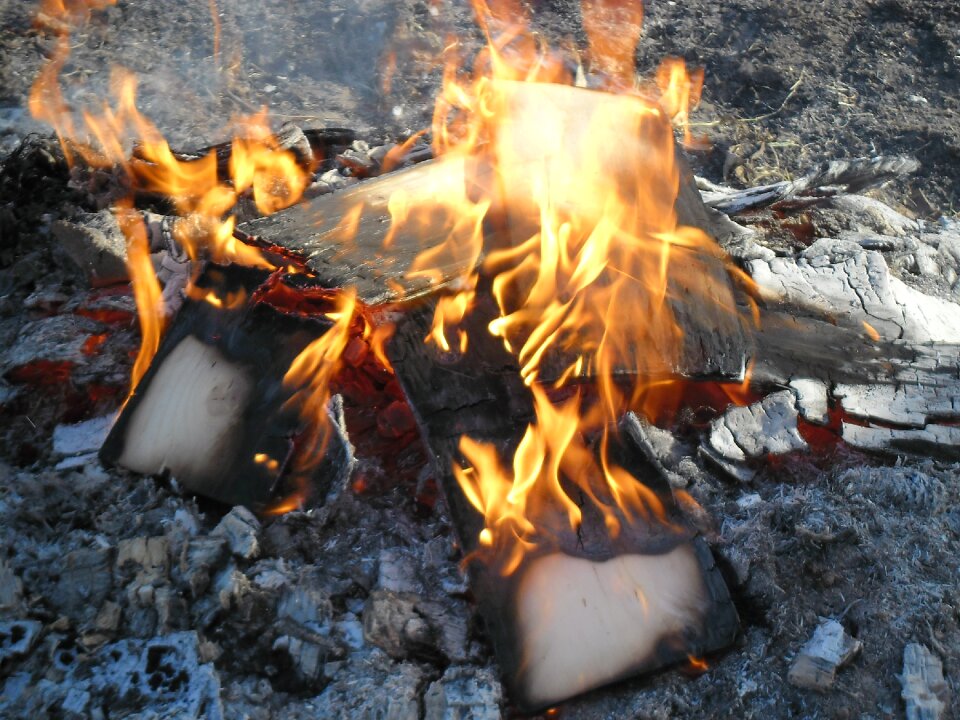 Wood flames brule