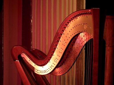Music harp instrument