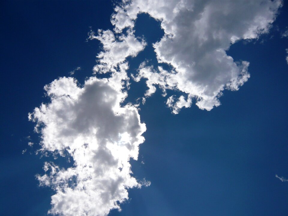 Cloud in the early summer sunny