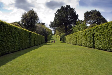 High enclosing hedges accentuated perspective and scale photo
