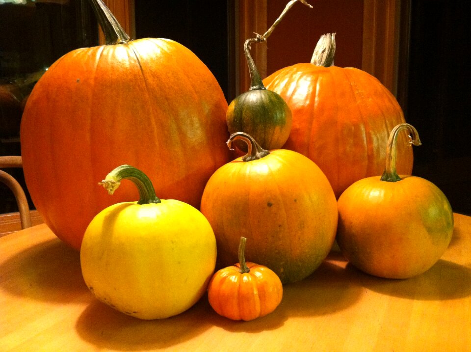 Orange autumn halloween