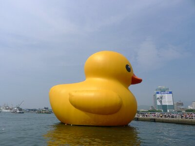 Yellow duck kaohsiung harbor