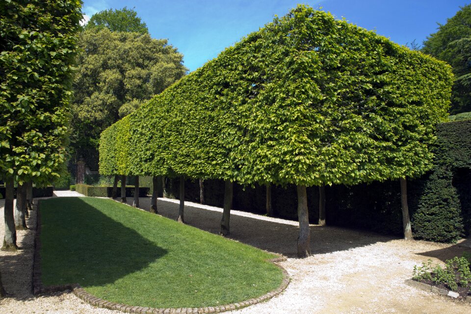Brick edged lawn blue sky green box