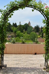 Garden granada spain photo