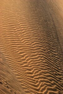 Nature africa landscape