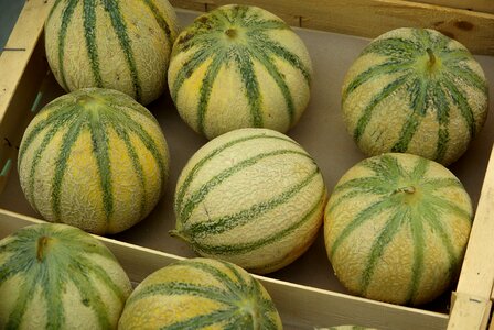 Fruit market melons