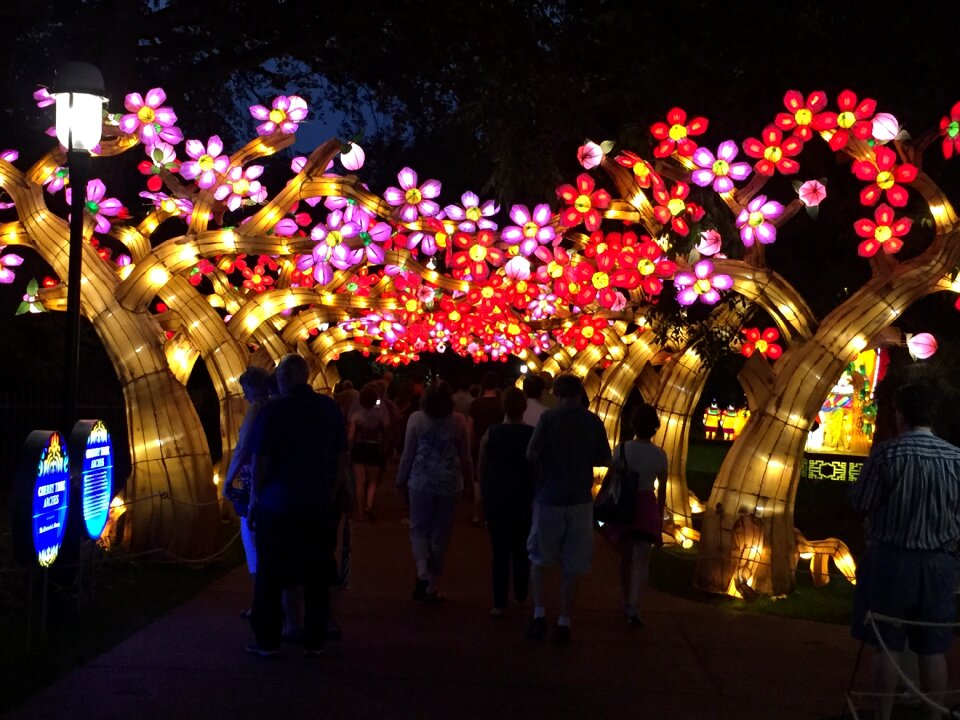 Lantern festival botanical garden chinese