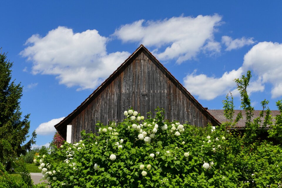 Green landscape nature