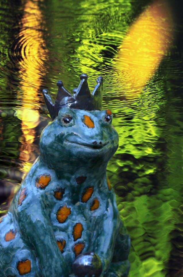 Crown pond frog