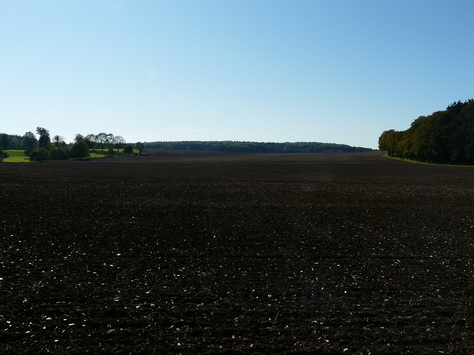 Fruitful agriculture cultivate