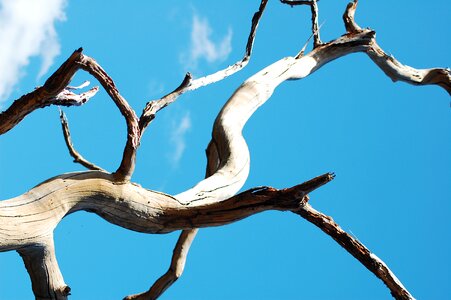 Flying nature landscape