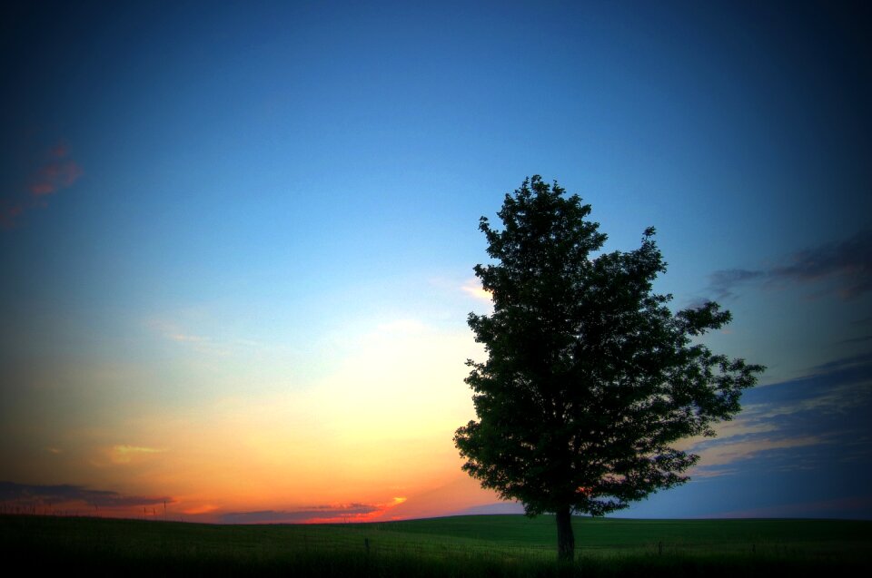 Outdoor landscape park