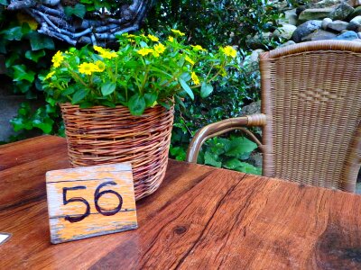 Yellow flowers spring chair photo