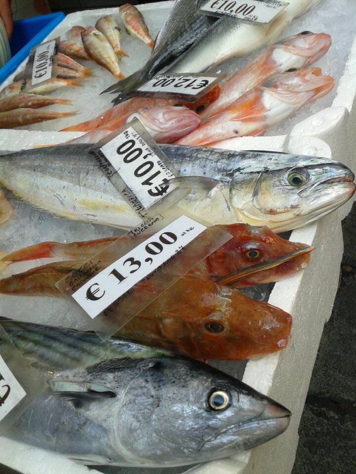 Food eat delicious