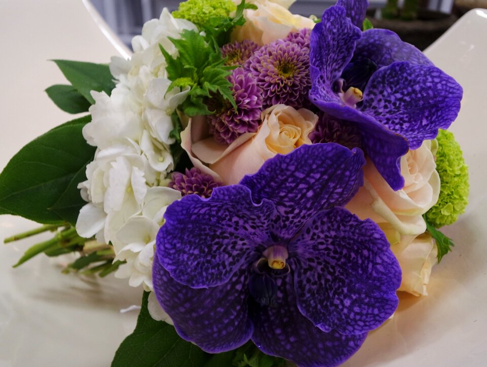Blue flowers floral