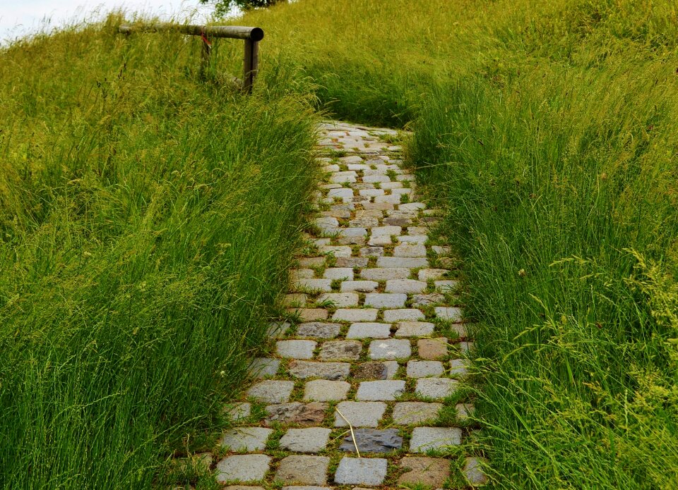 Nature path paving stones