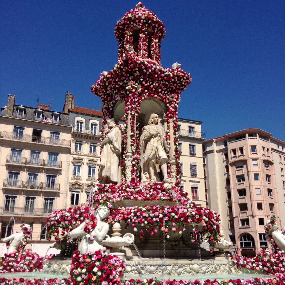 Roses lyon france