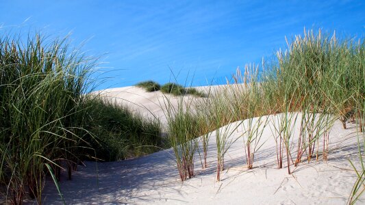 Dune sand dune sand