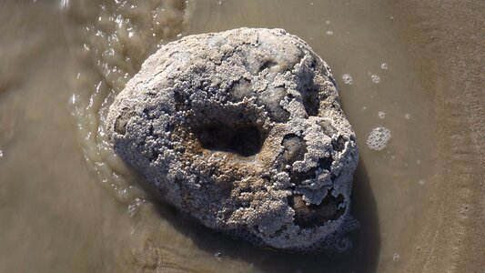 Face beach seaside
