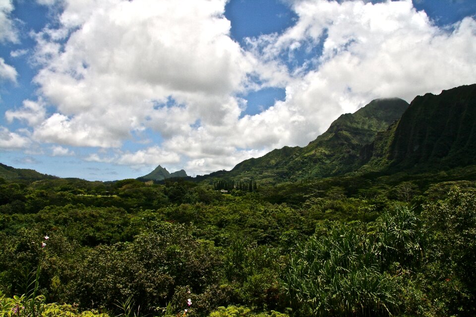 Scenery landscape park