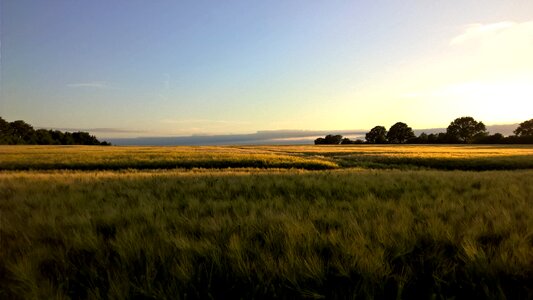 Landscape field nature