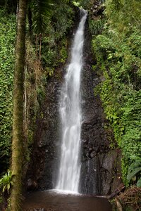 Nature cascade landscape