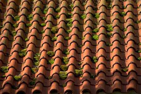 Brick pattern relief