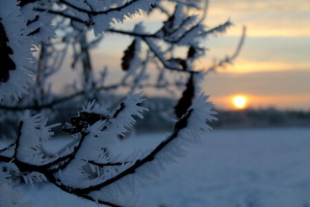 Winter morning sunrise