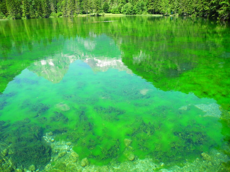 Landscape nature water creature