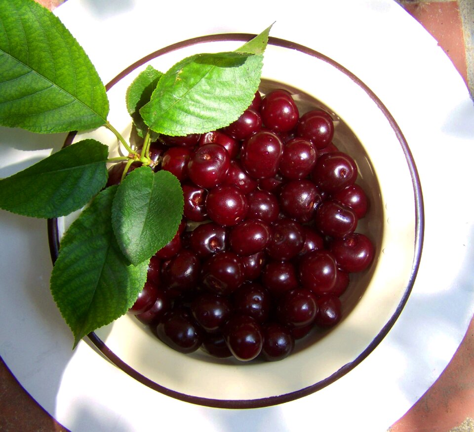 Mature cherry burgundy-red fruit fine