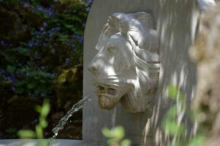 Lion stone fountain