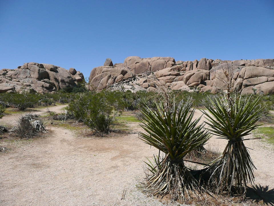 Scenery tourist attraction california