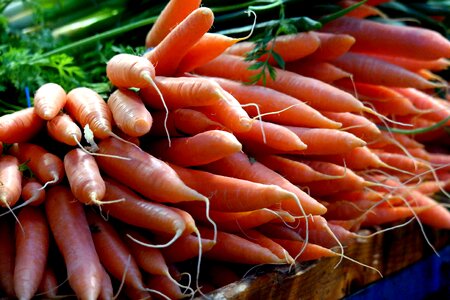 Carrot food vegetables photo