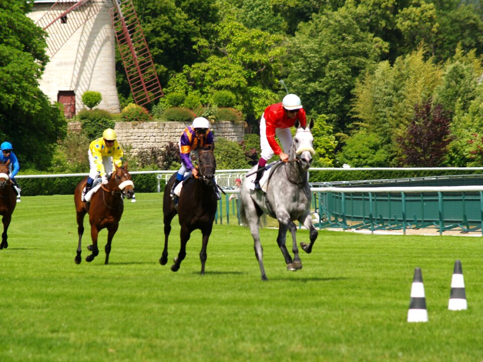 Paris horseback riding horse racing