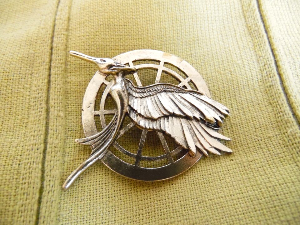 The hunger games sinsajo only