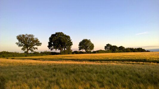 Landscape field nature photo