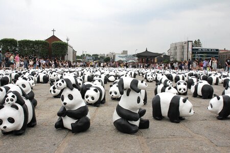 Exhibit animal endangered